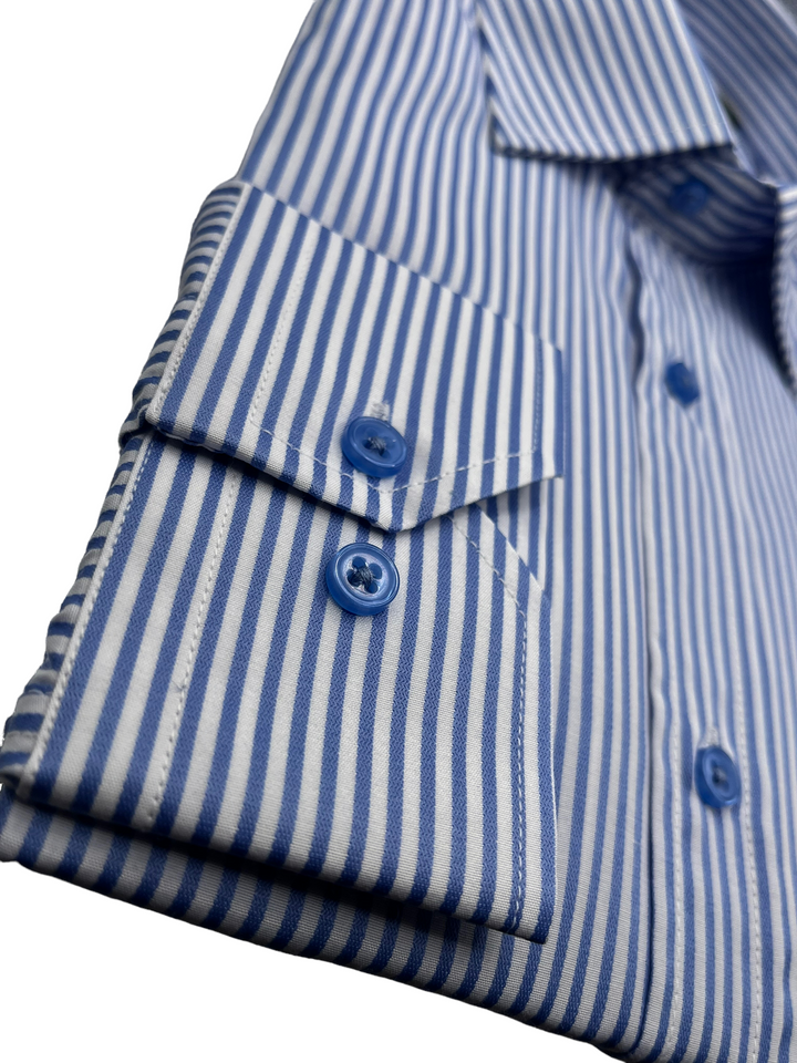 Blue Striped Shirt