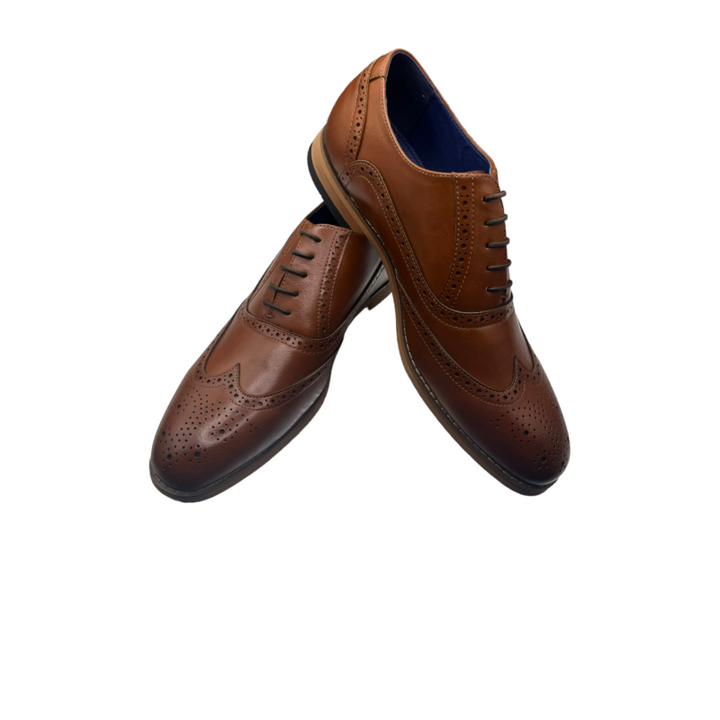 MO50 Brown Oxford Brogue Shoe