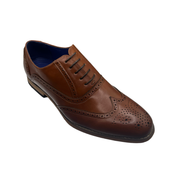 MO50 Brown Oxford Brogue Shoe
