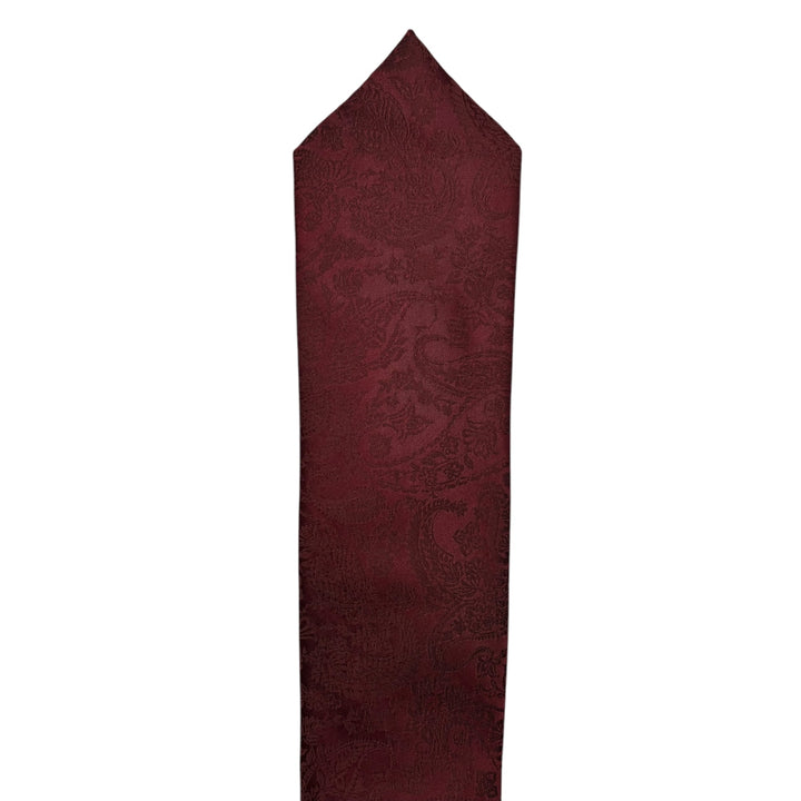 Wine Tonal Paisley Tie and Pocket Square